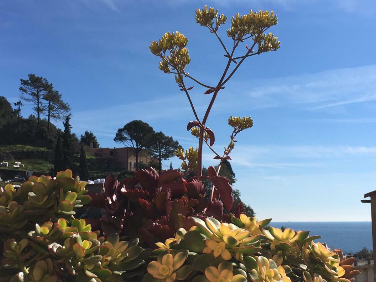 Cinqueterreblu Bougainvilleap Monterosso al Mare Exterior foto